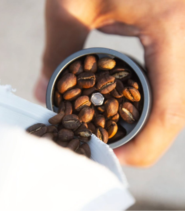 Hands holding coffee beans and cup